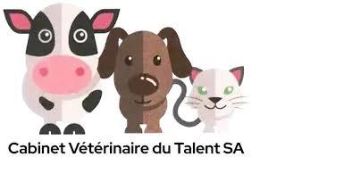 Cabinet du talent