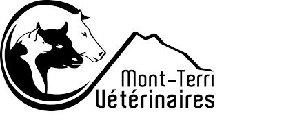 Mont Terri