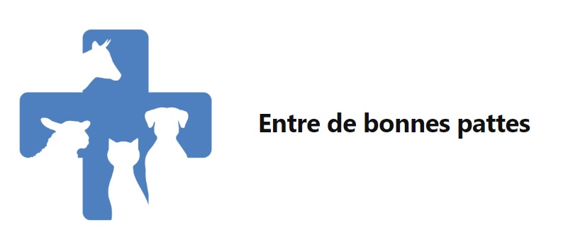 Entre de bonnes pattes