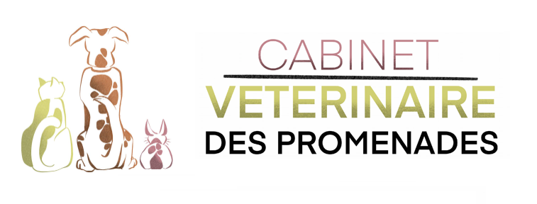 Cabinet des promenades