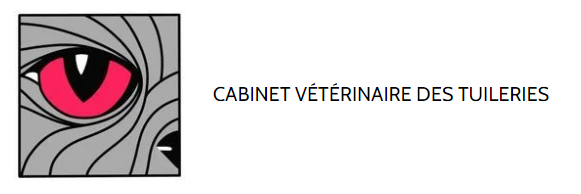 Cabinet des tuileries