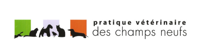 Pratique des champs neufs