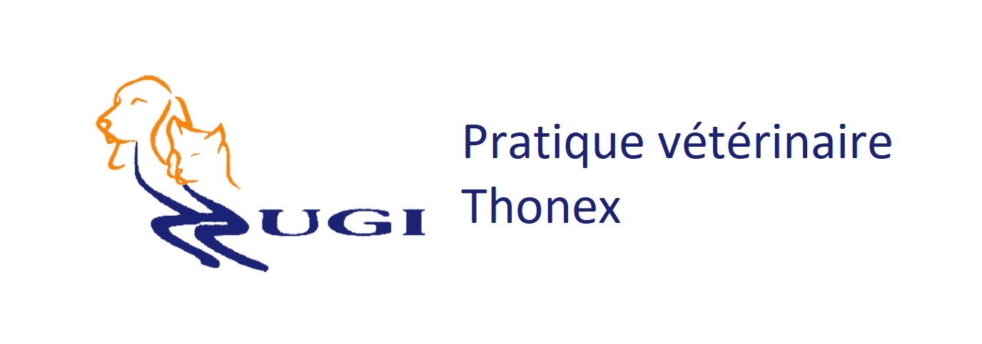 Cabinet de Hugi Thonex